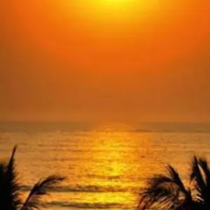Luxueux Appartement Dakar